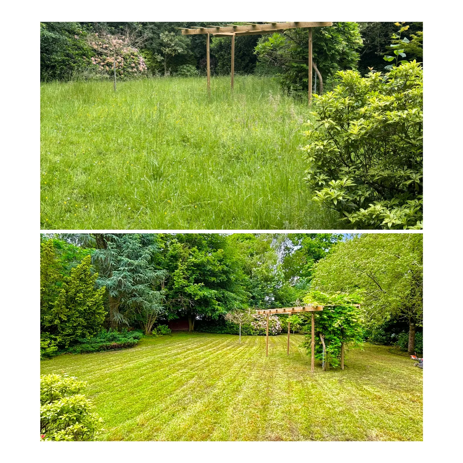 Montage : pelouse aux herbes hautes sous une pergola, puis tondue en bandes