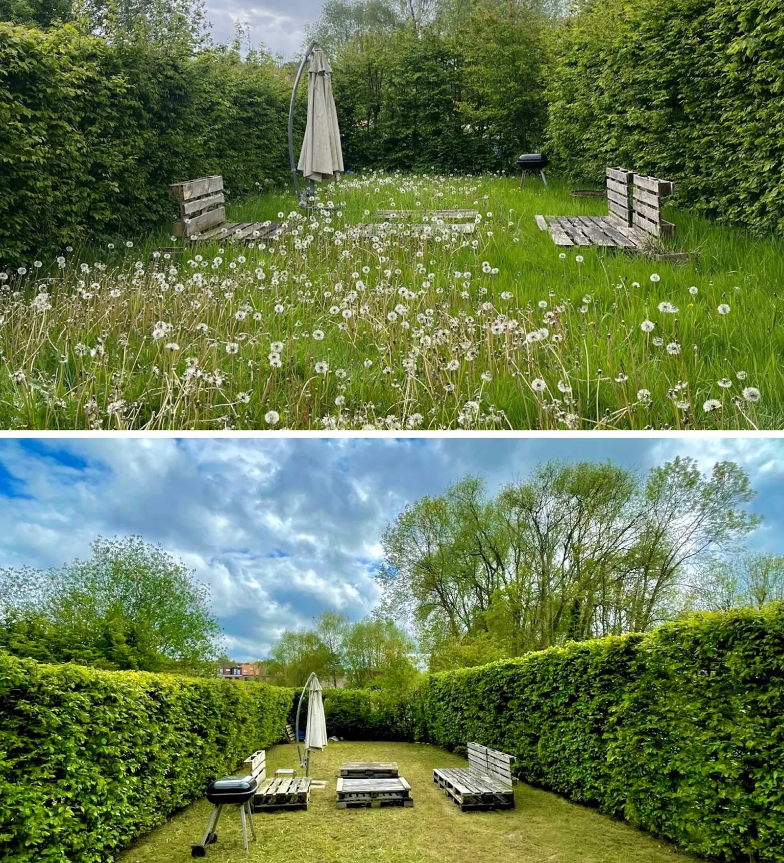 Montage : jardin aux herbes hautes, puis pelouse tondue et haies taillées